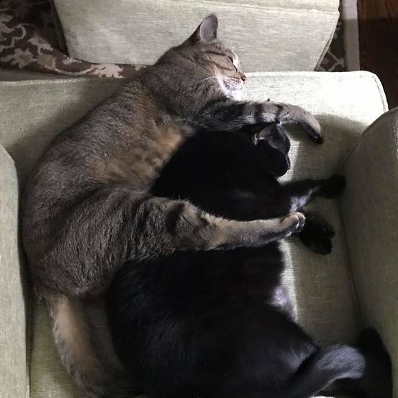 Meet your Posher, Kim - Picture 1 of 1